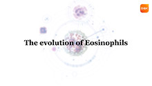 The Evolution of Eosinophils